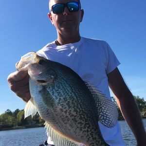 Meet your Posher, Darrell